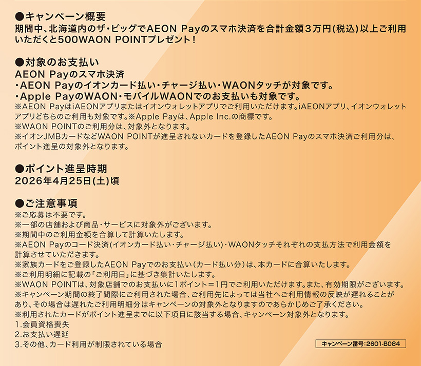 iAEON ザ・ビッグ限定ポイントアップ企画