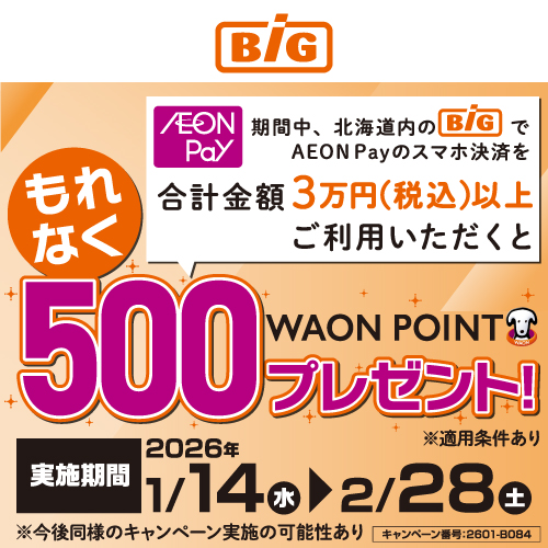 iAEON_ザ・ビッグ限定ポイントアップ企画（1/14～2/28）