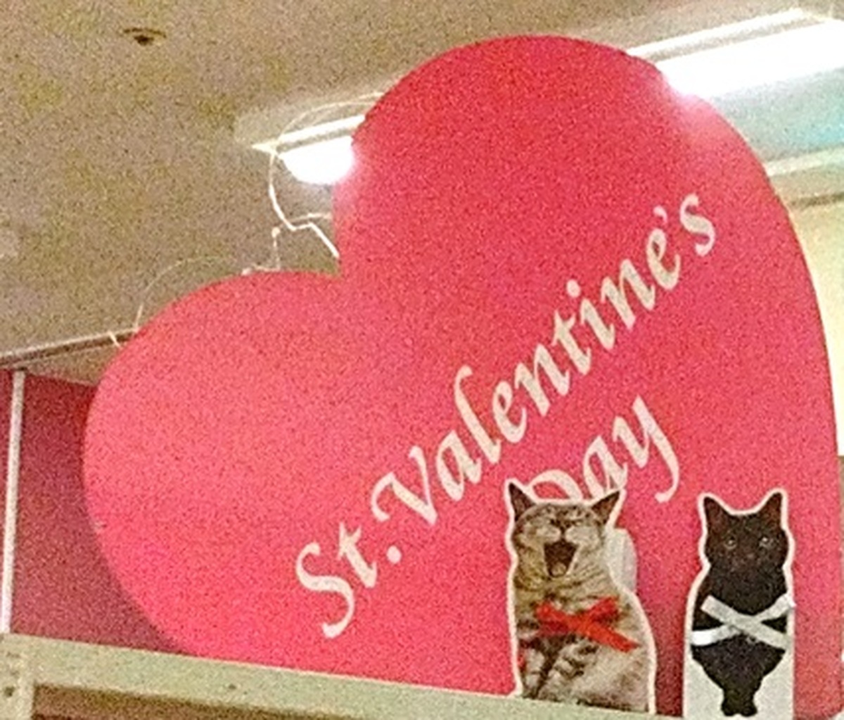 💘バレンタインコーナー開設中！💘