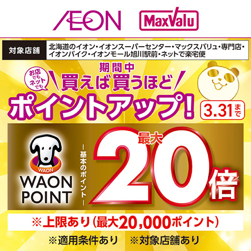 ポイントアップ企画