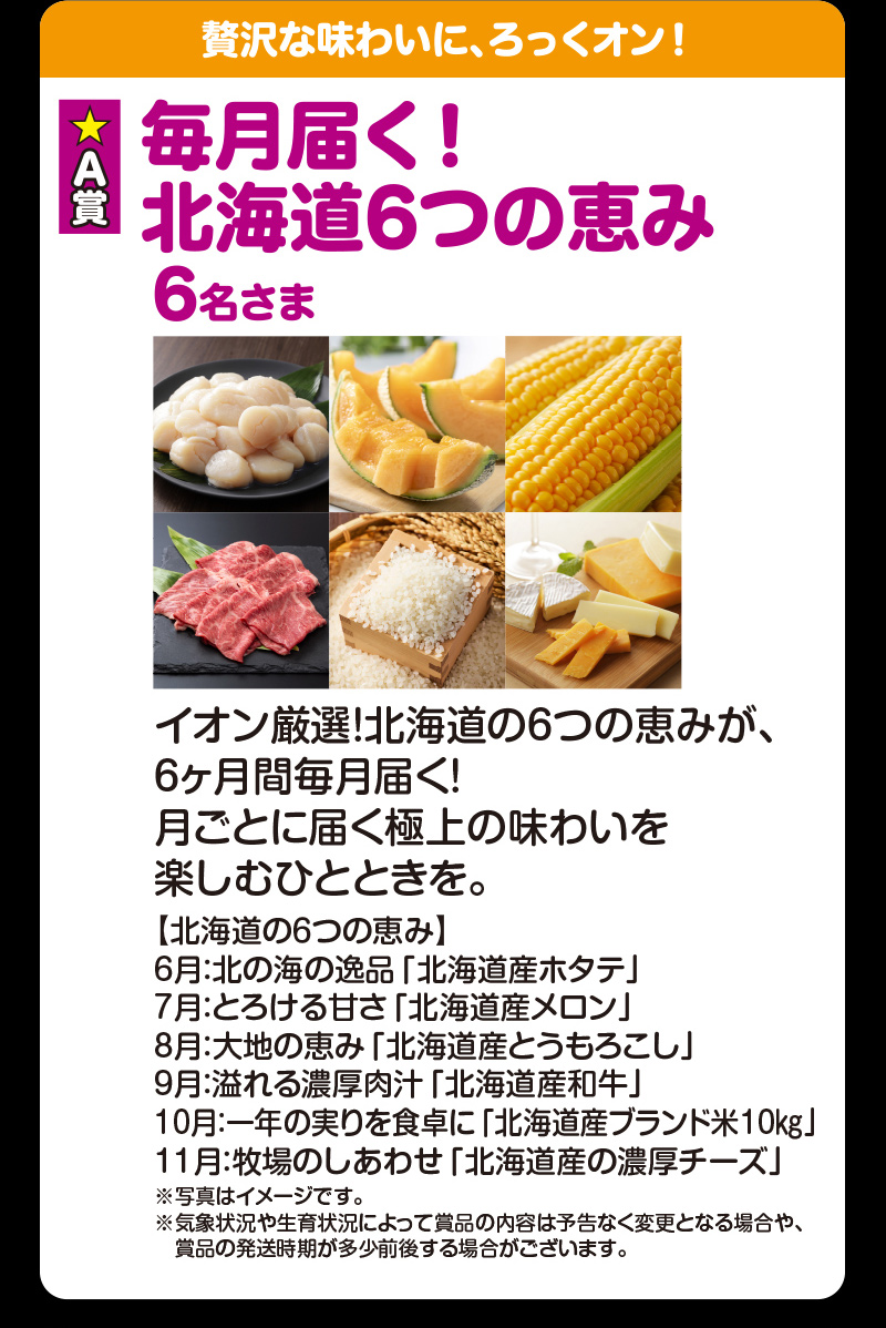 イオン北海道　誕生祭6周年応募ポスト企画